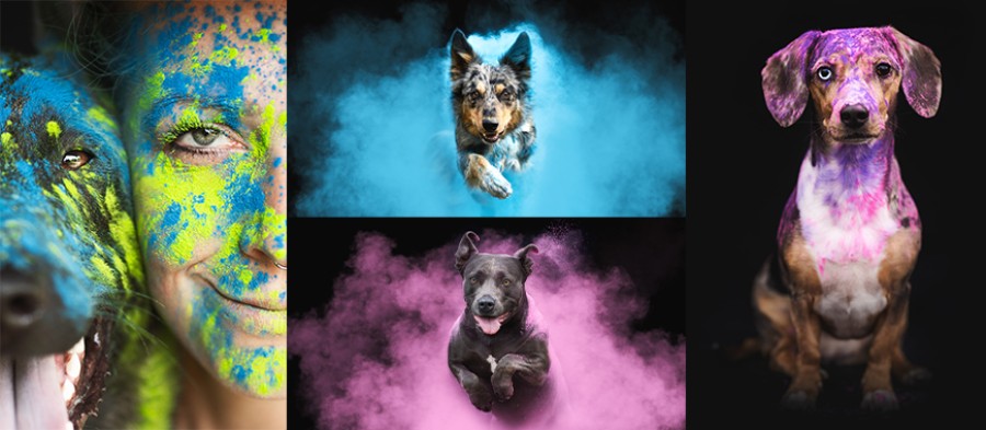 hundefreunde lippstadt holi shooting sarah suer